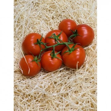 TOMATE RONDE 250g