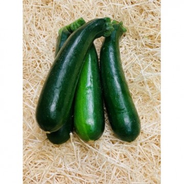 COURGETTE France 500g